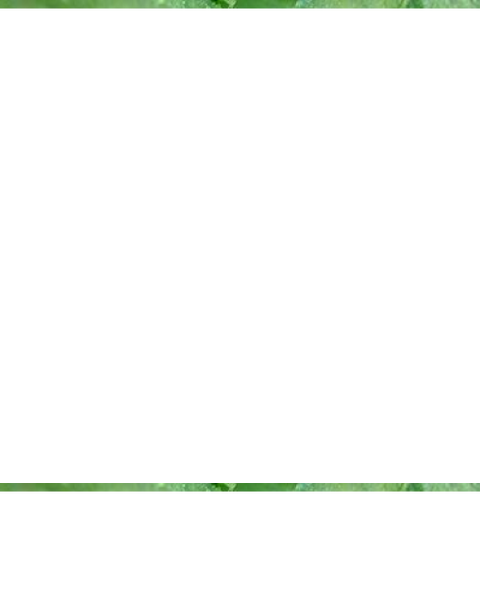 Bhringaraj Bhringaraj