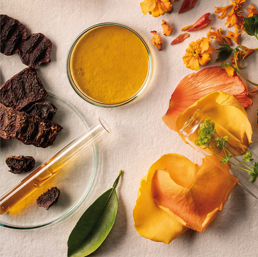 Image du lexique des principes actifs, qui explique les ingrédients et les principes actifs Ayurveda