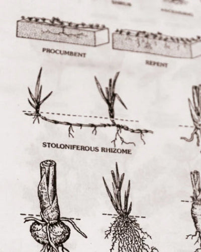 Image de khadi numéro de produit 62ec47cb-7ced-40fa-ac82-beb266258953 Image de khadi numéro de produit 62ec47cb-7ced-40fa-ac82-beb266258953