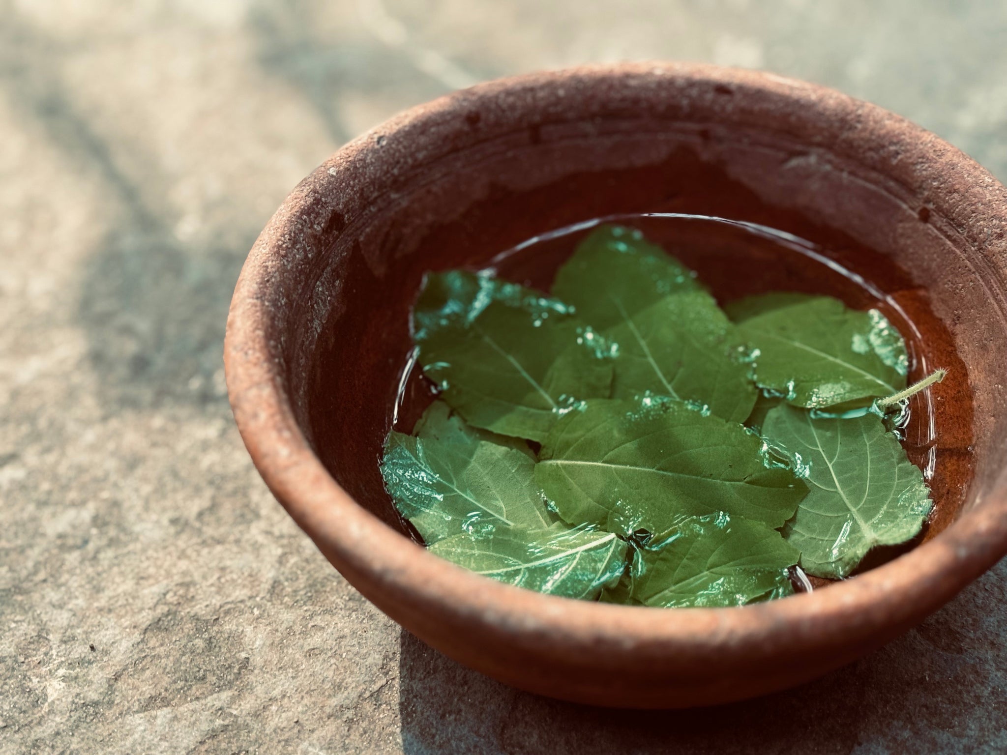 Vidéo du bol avec des feuilles d'herbes comme ingrédients dans les produits khadi Vidéo du bol avec des feuilles d'herbes comme ingrédients dans les produits khadi