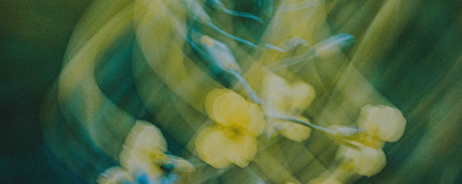 Image 25315956162606