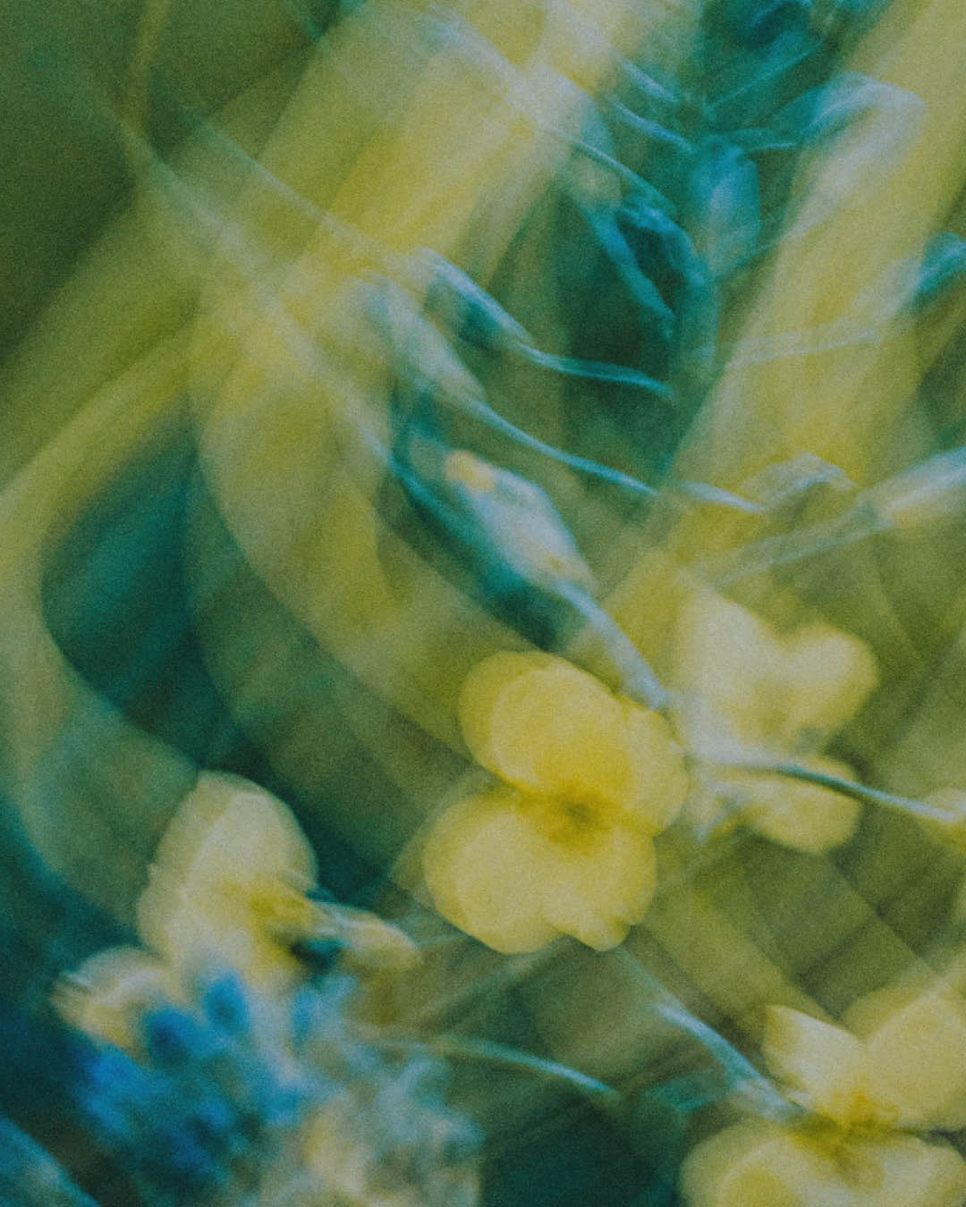 Image 25315956195374