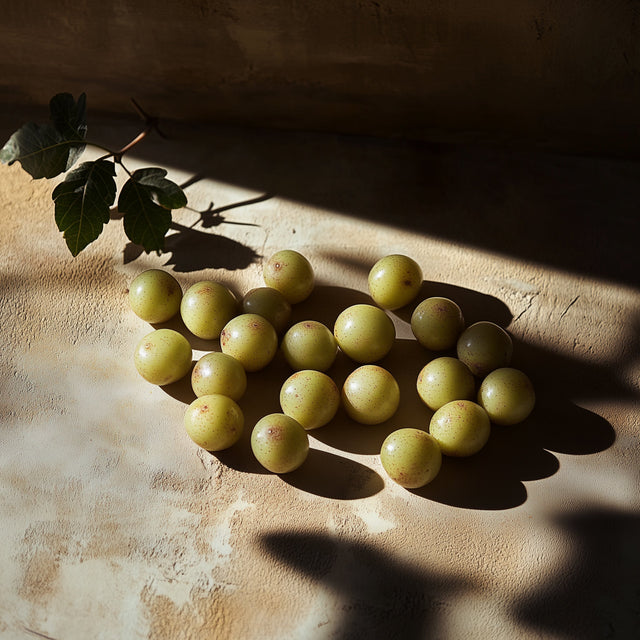 Crème pour les mains Indian Amla – khadi Ayurveda Everyday – vue arrière
