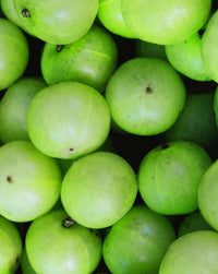Produit de shampoing amla en application de khadi