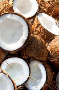 khadi noix de coco ingrédient actif - image du produit