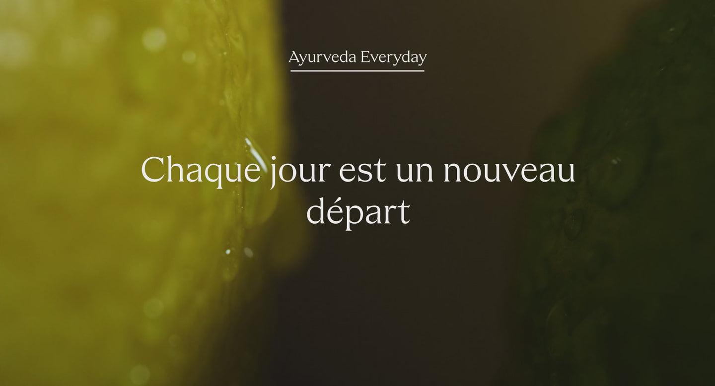 khadi Vidéo Newsletter Desktop – Lemon Lime (FR)